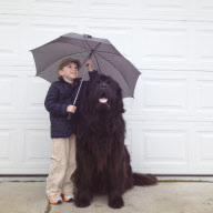 Mother photographs Julian Becker and Max the dog for his Naval officer father, Whidbey Island, Washington, America - Apr 2013