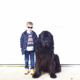Mother photographs Julian Becker and Max the dog for his Naval officer father, Whidbey Island, Washington, America - Apr 2013