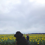 Mother photographs Julian Becker and Max the dog for his Naval officer father, Whidbey Island, Washington, America - Apr 2013
