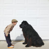 Mother photographs Julian Becker and Max the dog for his Naval officer father, Whidbey Island, Washington, America - Apr 2013