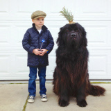 Mother photographs Julian Becker and Max the dog for his Naval officer father, Whidbey Island, Washington, America - Apr 2013