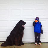 Mother photographs Julian Becker and Max the dog for his Naval officer father, Whidbey Island, Washington, America - Apr 2013
