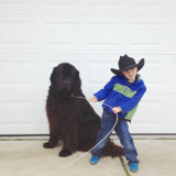 Mother photographs Julian Becker and Max the dog for his Naval officer father, Whidbey Island, Washington, America - Apr 2013