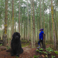Mother photographs Julian Becker and Max the dog for his Naval officer father, Whidbey Island, Washington, America - Apr 2013