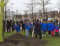 Willem Alexander 