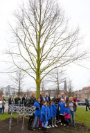 Willem Alexander 