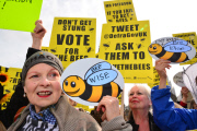 The 'March of the Beekeepers', London, Britain - 26 Apr 2013