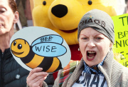 Demonstration urging the Government to vote to ban bee-harming neonicotinoid pesticides at the European Commission, London, Britain - 26 Apr 2013