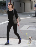 Semi-Exclusive... Amber Heard Takes Her Dog To A Business Meeting 