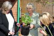 Camilla of Duchess of Cornwall in Middlesbrough, Britain - 02 May 2013