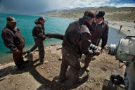 NV: Big trout saved from close call with extinction