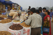 Delhi - Nov 2012
