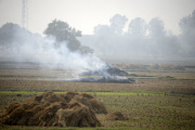 Delhi - Nov 2012