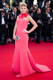 'Le Passe' film premiere, 66th Cannes Film Festival, France - 17 May 2013