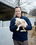David Cameron