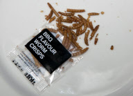 Edible insects on sale at Selfridges, London, Britain - 20 May 2013