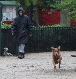 Andrew Garfield Playing With His Dog Ren