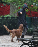 Andrew Garfield Playing With His Dog Ren