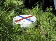 Cheese Rolling in Brockworth, Gloucestershire, Britain - 27 May 2013