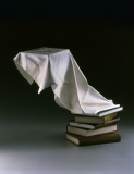 Incredible wooden sculpture carvings by Tom Eckert, Arizona, America - May 2013