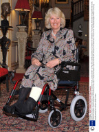 Camilla, Duchess of Cornwall hosts a reception at Clarence House, London, Britain - 21 Apr 2010