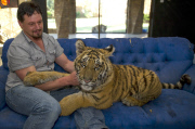 Michael Jamison at home with his new pet tiger Ozzy, Brakpan, South Africa - 31 May 2013