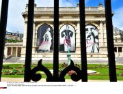 FRA : Paris -Illustration