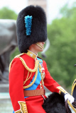 Trooping The Colour 


