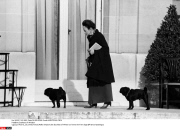 Duchess of Windsor