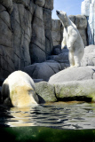 Tierpark Hagenbeck