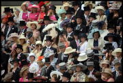 Ladies Day at Royal Ascot 2013