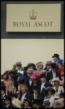 Ladies Day at Royal Ascot 2013