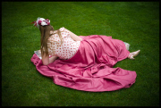 Ladies Day at Royal Ascot 2013