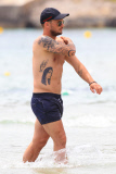 Wesley Sneijder