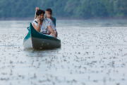 Die Hochzeit der Eintagsfliegen - Schwärme der Theiss-Eintagsfliegen paaren sich am Fluss Tisza