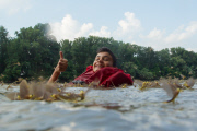 Die Hochzeit der Eintagsfliegen - Schwärme der Theiss-Eintagsfliegen paaren sich am Fluss Tisza