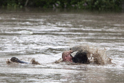Flooding in Alberta, Canada - 20 Jun 2013