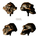 3D Printer Creates Museum Treasures For Home - 21 Jun 2013