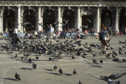 PIAZZA SAN MARCO IN VENICE