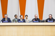 Solar Impulse brings Clean Generation message to UN