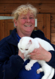 Katze Luna mussten die Ohren wegen Sonnenbrands amputiert werden