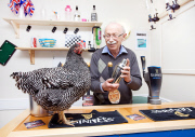 Hen Power initiative, which pairs older people in assisted living with their own chicken, Gateshead, Britain - Mar 2013