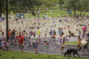 'Selected People' composite photographs by Pelle Cass, America - Jul 2013