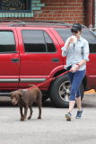 Anne Hathaway cleans up after her pooch