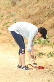 Anne Hathaway cleans up after her pooch