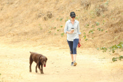 Anne Hathaway cleans up after her pooch