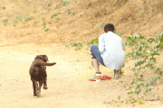 Anne Hathaway cleans up after her pooch