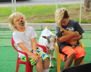 Kingston and Zuma Visit the Petting Zoo