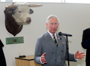 Prinz Charles