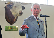 Prinz Charles